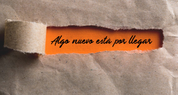 cabecera-asamblea-web cabecera-asamblea-web