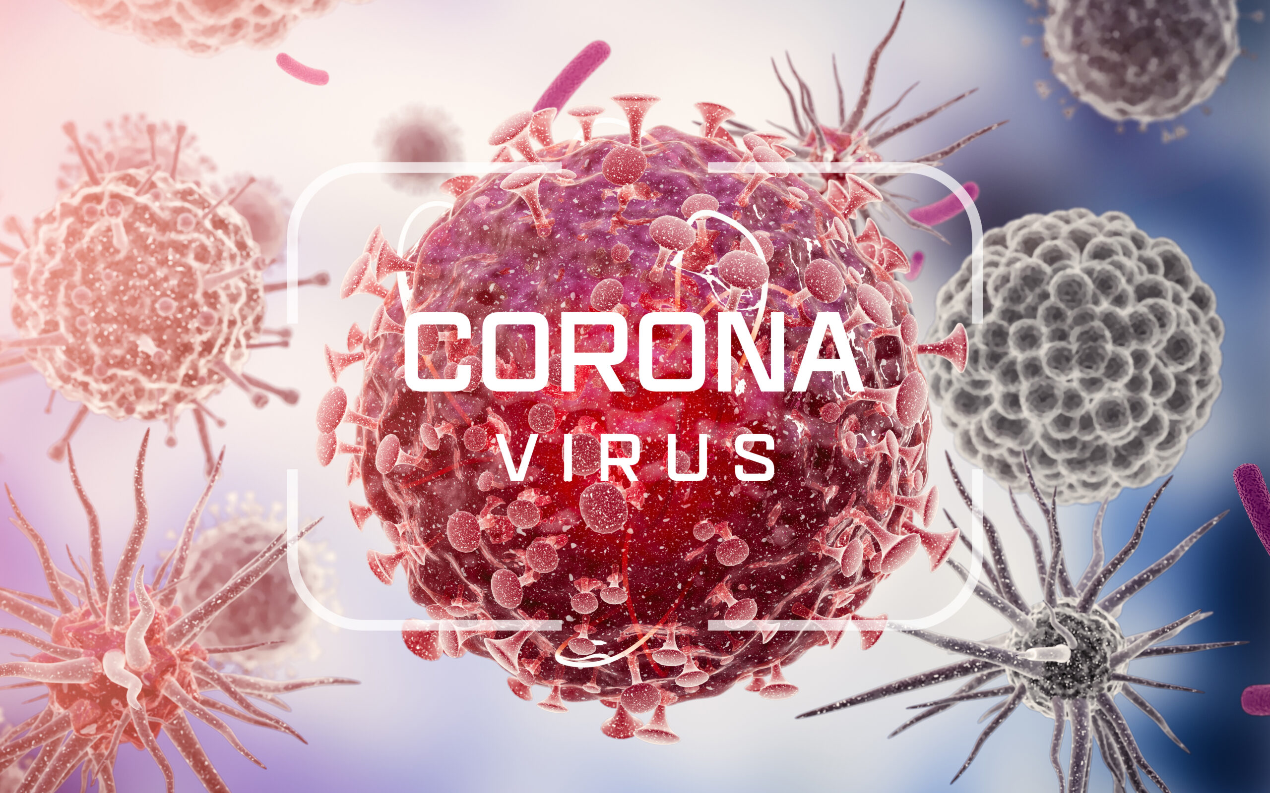 CORONAVIRUS: Sigue los consejos de la OMS sobre seguridad ...